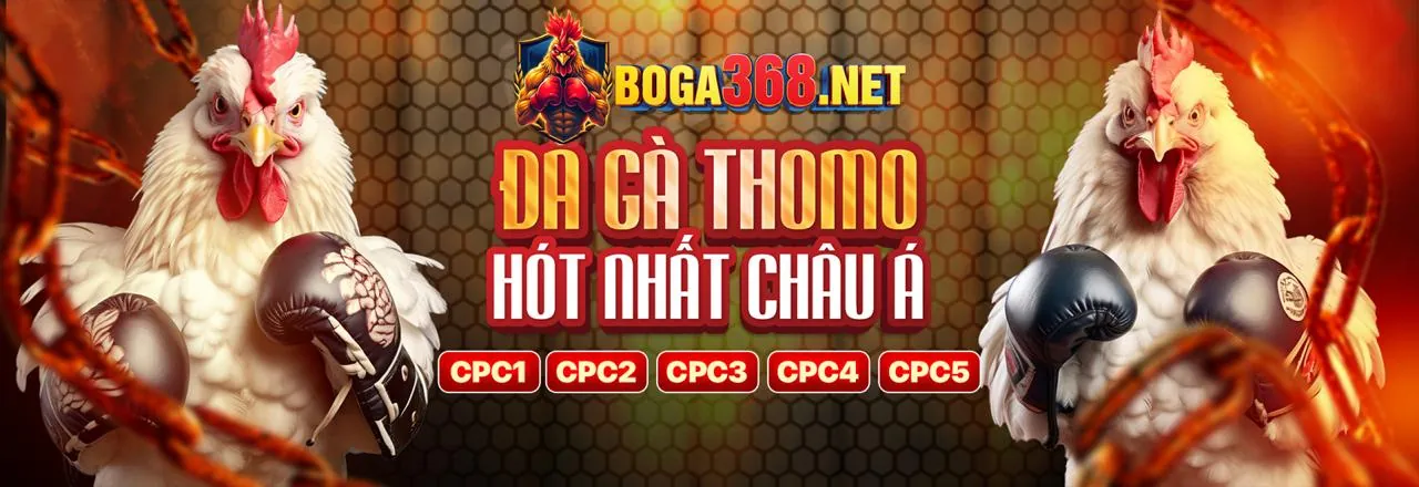 Đá Gà Trực Tuyến Hấp Dẫn tại Bet666
